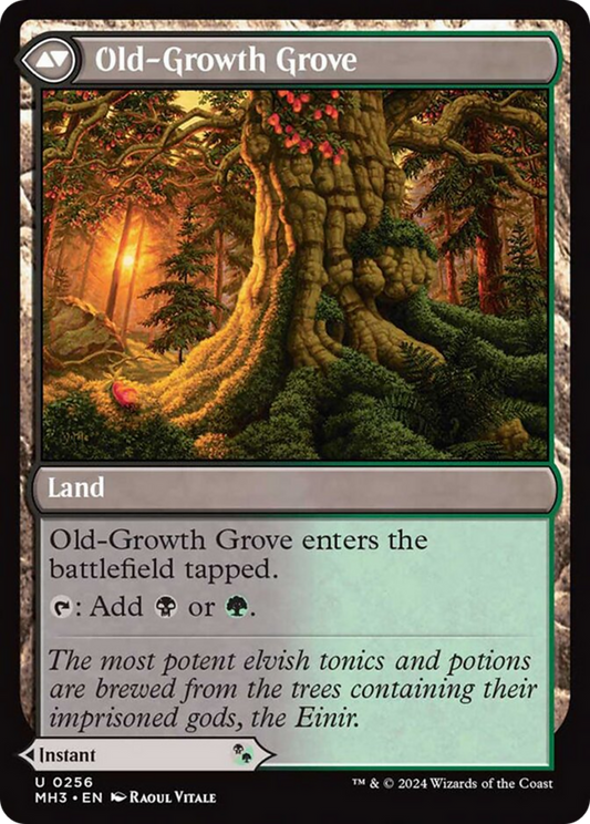Revitalizing Repast // Old-Growth Grove (256)