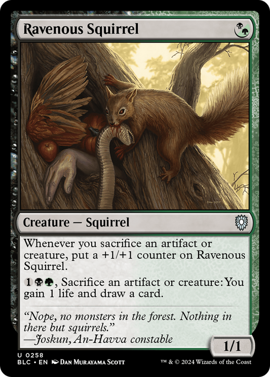 Ravenous Squirrel (258)