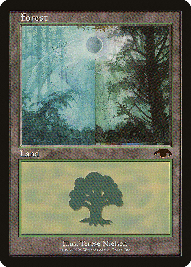 Forest (005) - Guru
