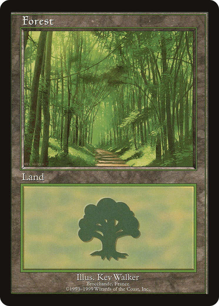 Forest (006) - European Land Program