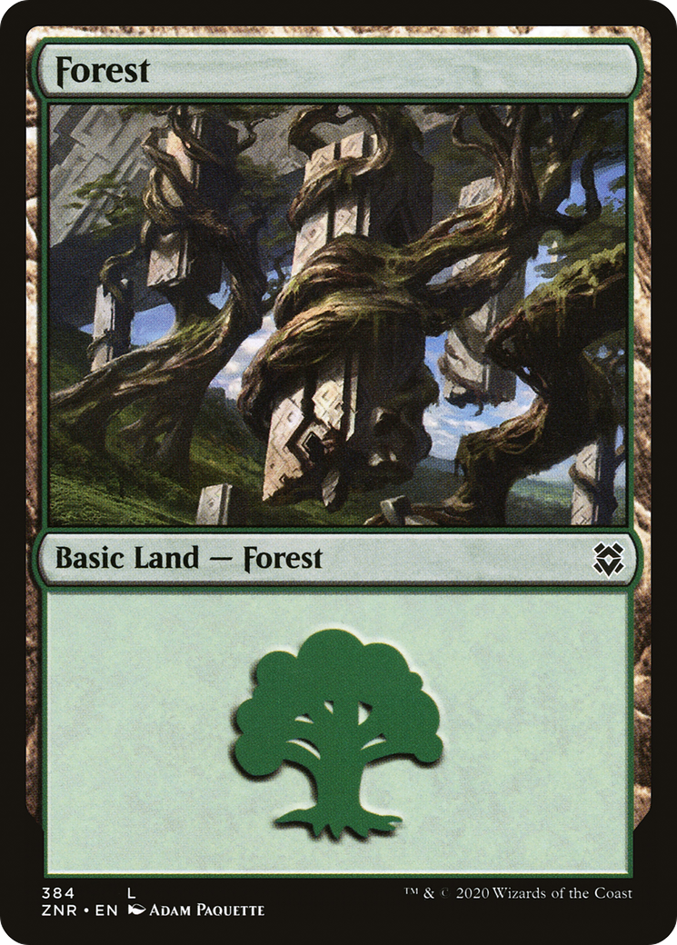 Forest (384) - Zendikar Rising Foil