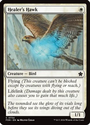 Healer's Hawk (734) - Foundations