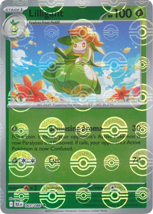 Lilligant (Poke Ball Pattern) (7) Reverse Holofoil - Black Bolt
