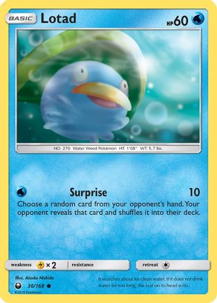 Lotad (36) Reverse Holofoil - Celestial Storm