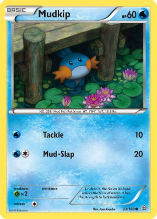 Mudkip (33) Reverse Holofoil - Primal Clash