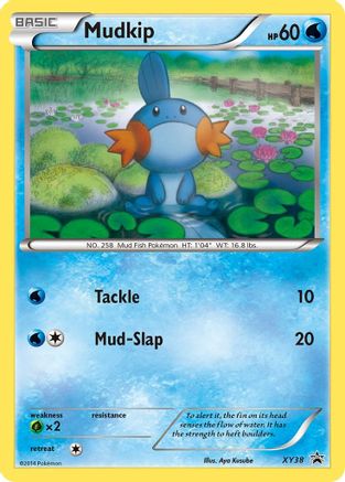 Mudkip (XY38) Holofoil - Black Star Promos