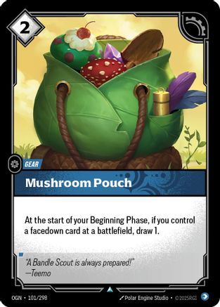 Mushroom Pouch (101) - Origins