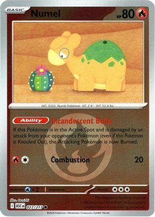 Numel (Energy Symbol Pattern) (27) Reverse Holofoil - Ascended Heroes