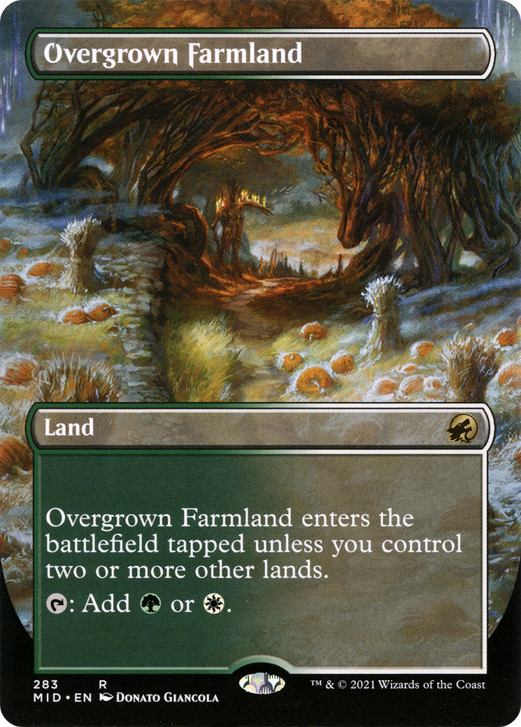 Overgrown Farmland (Borderless) (283) - Innistrad: Midnight Hunt Foil