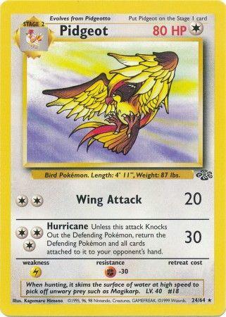 Pidgeot (24) (Unlimited) - Jungle