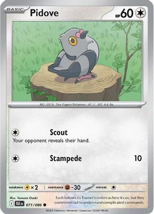 Pidove (71) Reverse Holofoil - Black Bolt