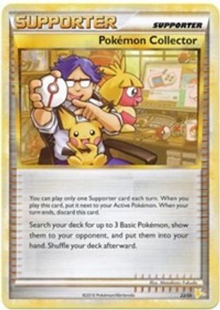 Pokemon Collector (27) - Trainer Kit: Gyarados & Raichu