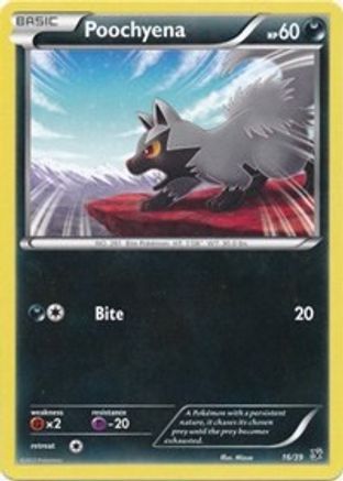 Poochyena (16) - Kalos Starter Set