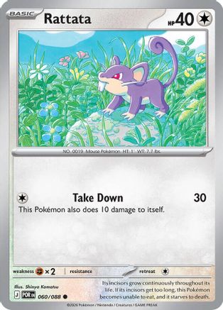 Rattata (60) - Perfect Order