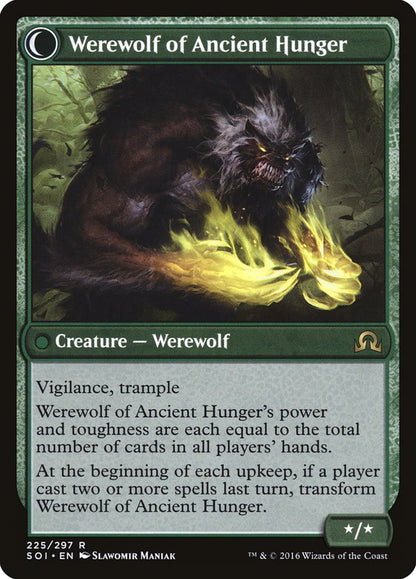 Sage of Ancient Lore // Werewolf of Ancient Hunger (225) Foil - Shadows over Innistrad