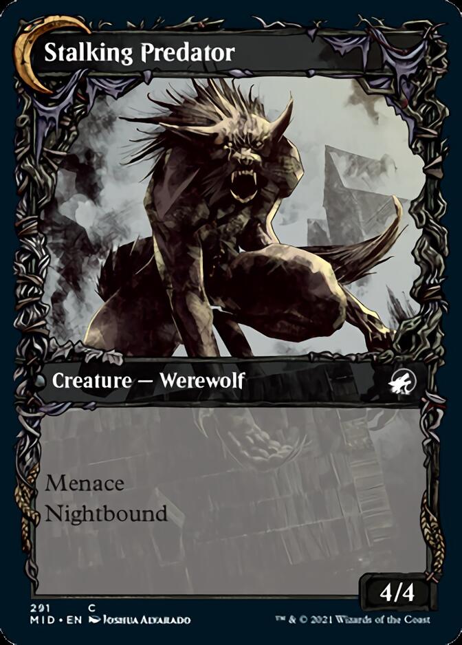 Shady Traveler (Showcase) (291) - Innistrad: Midnight Hunt Foil