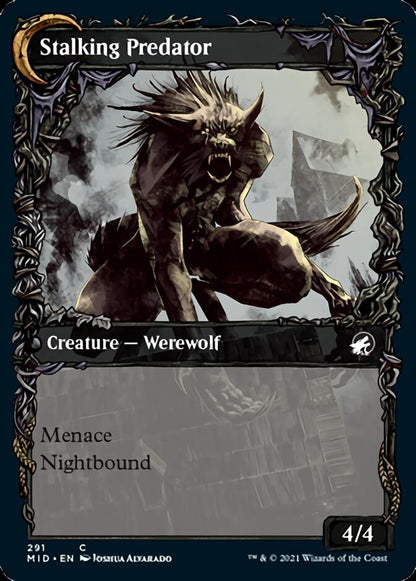 Shady Traveler (Showcase) (291) - Innistrad: Midnight Hunt Foil