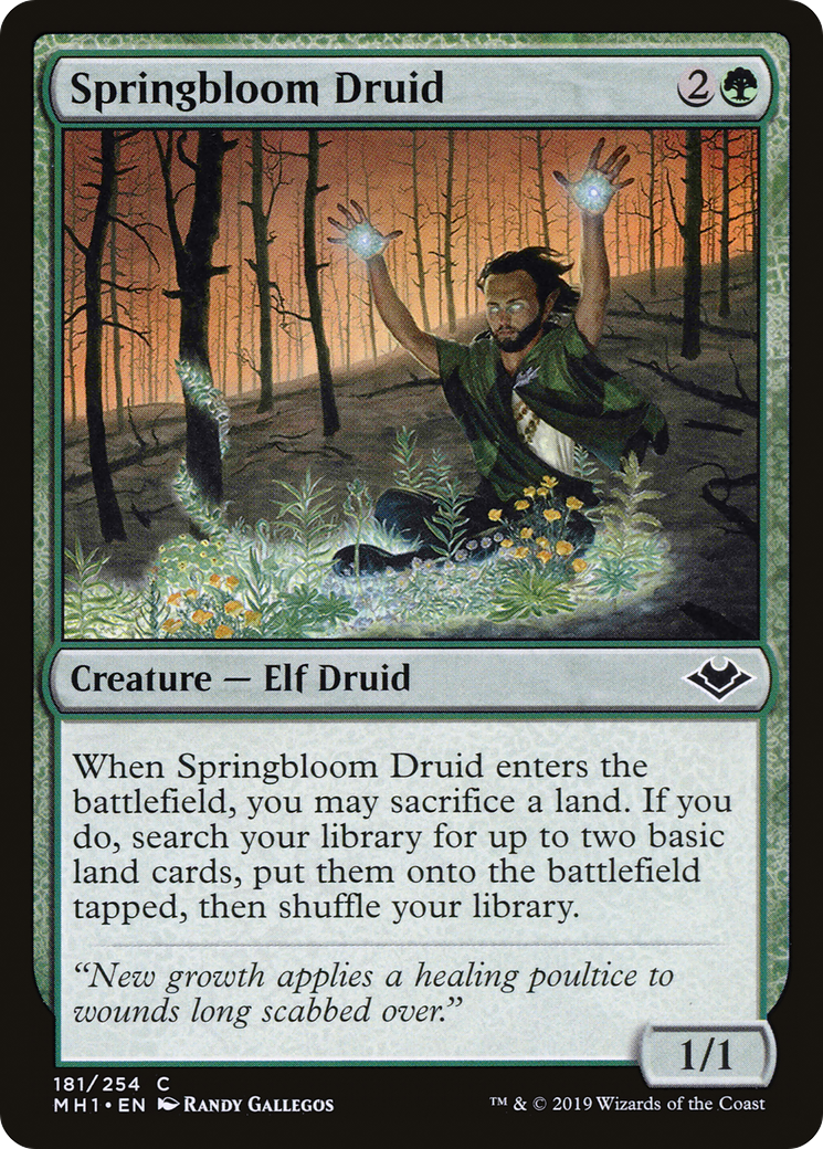Springbloom Druid (181) - Modern Horizons Foil