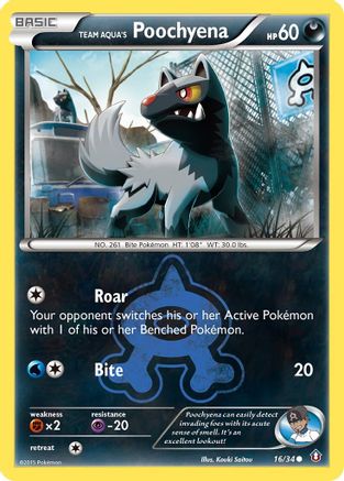Team Aqua's Poochyena (16) Reverse Holofoil - Double Crisis