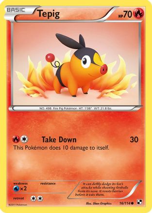 Tepig (16) - Black & White
