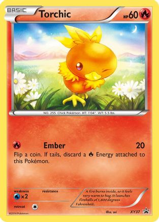 Torchic (XY37) Holofoil - Black Star Promos