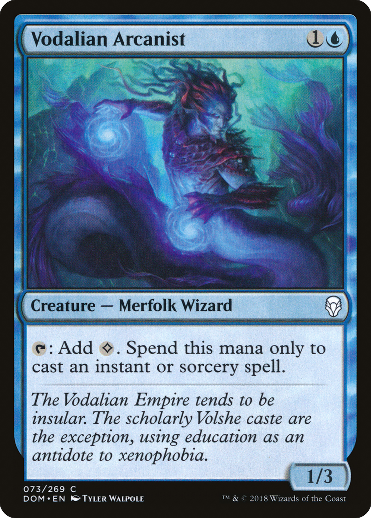 Vodalian Arcanist (073) - Dominaria Foil