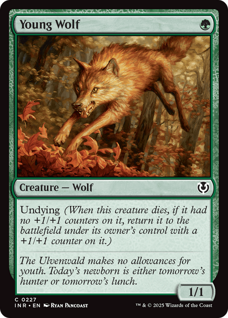 Young Wolf (227) Foil - Innistrad Remastered