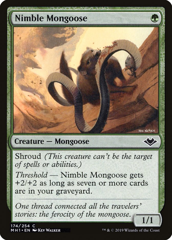 Nimble Mongoose [Modern Horizons] | Silver Goblin