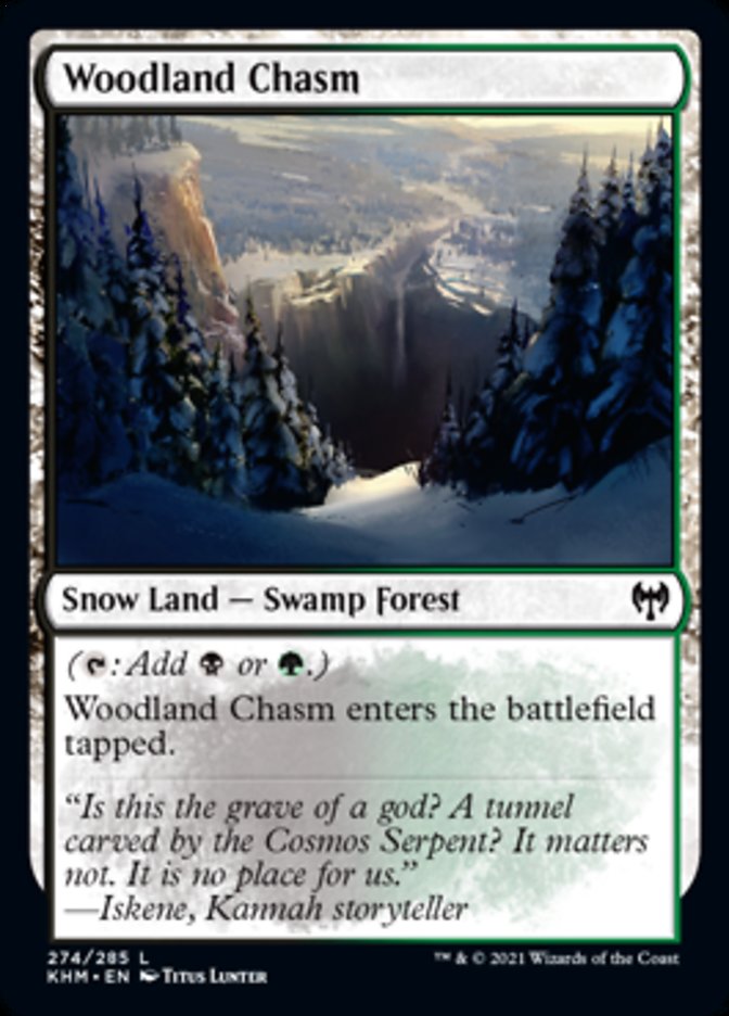 Woodland Chasm [Kaldheim] | Silver Goblin