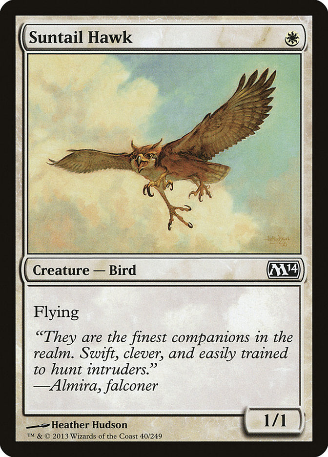 Suntail Hawk [Magic 2014] | Silver Goblin
