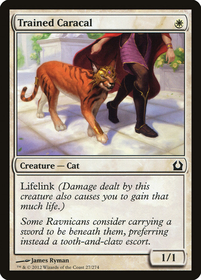 Trained Caracal [Return to Ravnica] | Silver Goblin