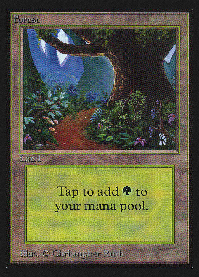 Forest (Flower Path) [Collectors' Edition] | Silver Goblin