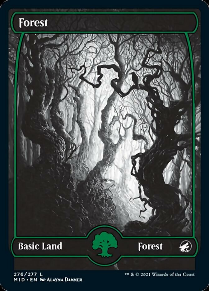 Forest (276) [Innistrad: Midnight Hunt] | Silver Goblin