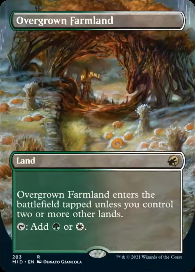 Overgrown Farmland (Borderless Alternate Art) [Innistrad: Midnight Hunt] | Silver Goblin