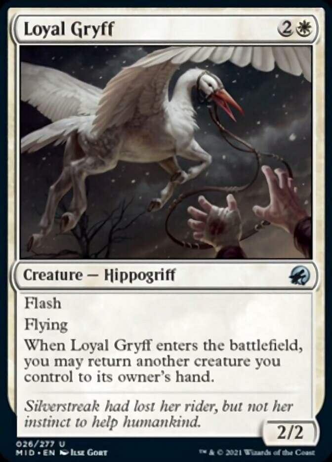 Loyal Gryff [Innistrad: Midnight Hunt] | Silver Goblin