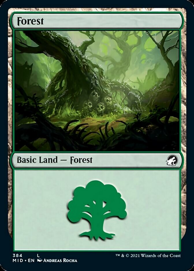 Forest (384) [Innistrad: Midnight Hunt] | Silver Goblin