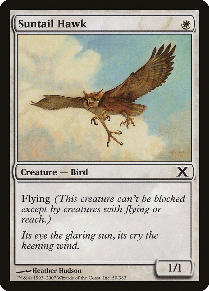 Suntail Hawk [Tenth Edition] | Silver Goblin