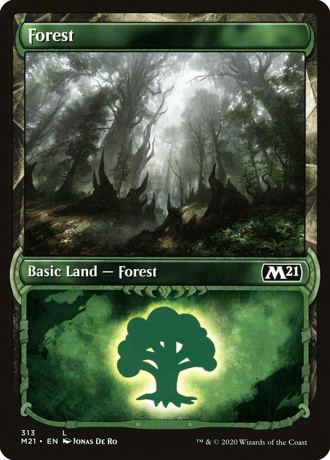 Forest (313) (Showcase) [Core Set 2021] | Silver Goblin
