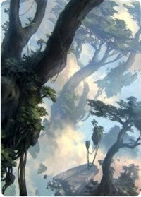 Forest 1 Art Card [Zendikar Rising Art Series] | Silver Goblin